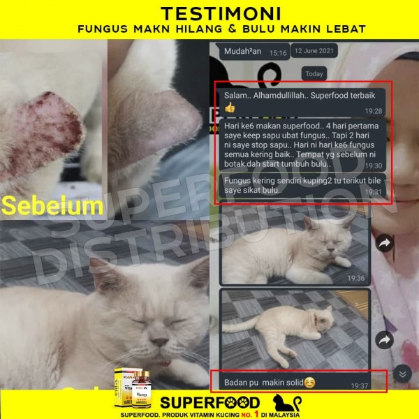 [Ready Stock] SUPERFOOD Cat Supplement Booster (New Packaging) SF 1x