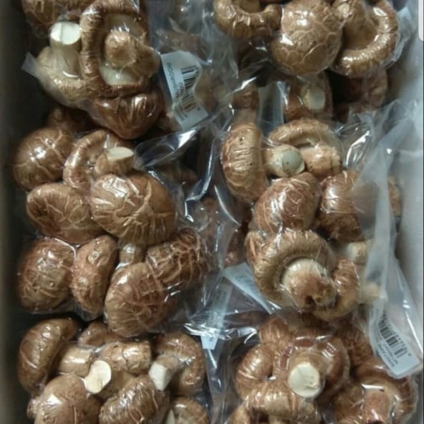 Haqiqiy Ensest Ona va Ogil Porno Onlayn Elena Berkova porno yuqori sifatli