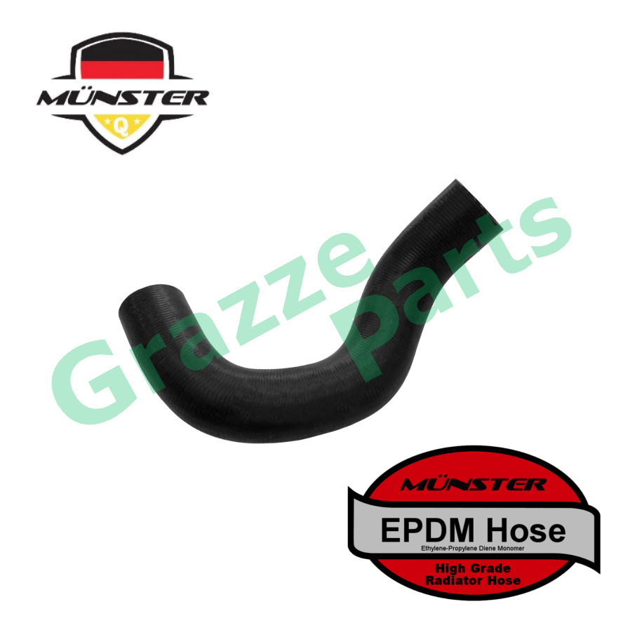 Münster Radiator Coolant Hose Pipe Top Upper Bottom Lower for Toyota Alphard ANH10 2.4 2002-2008 2AZ