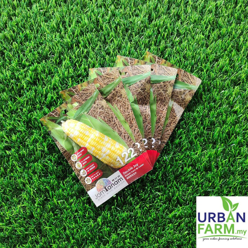 CROP POWER Jom Tanam Double Joy Sweet Corn Bi-Colo (F1 HYBRID 122) 30 Seed/ Jagung Manis Dwi-Warna
