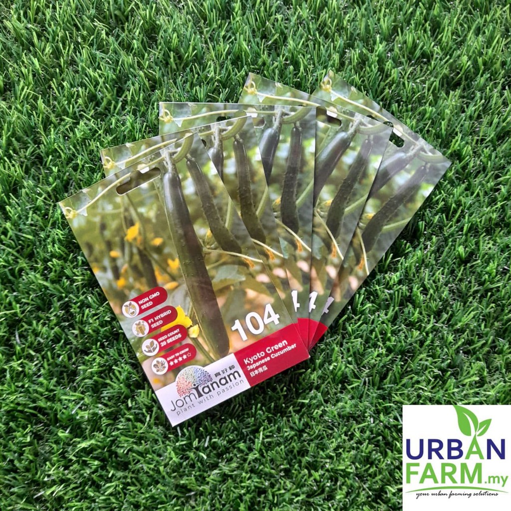 CROP POWER Jom Tanam Timun Jepun Kyoto Green Japanese Cucumber (104) 20 Seed