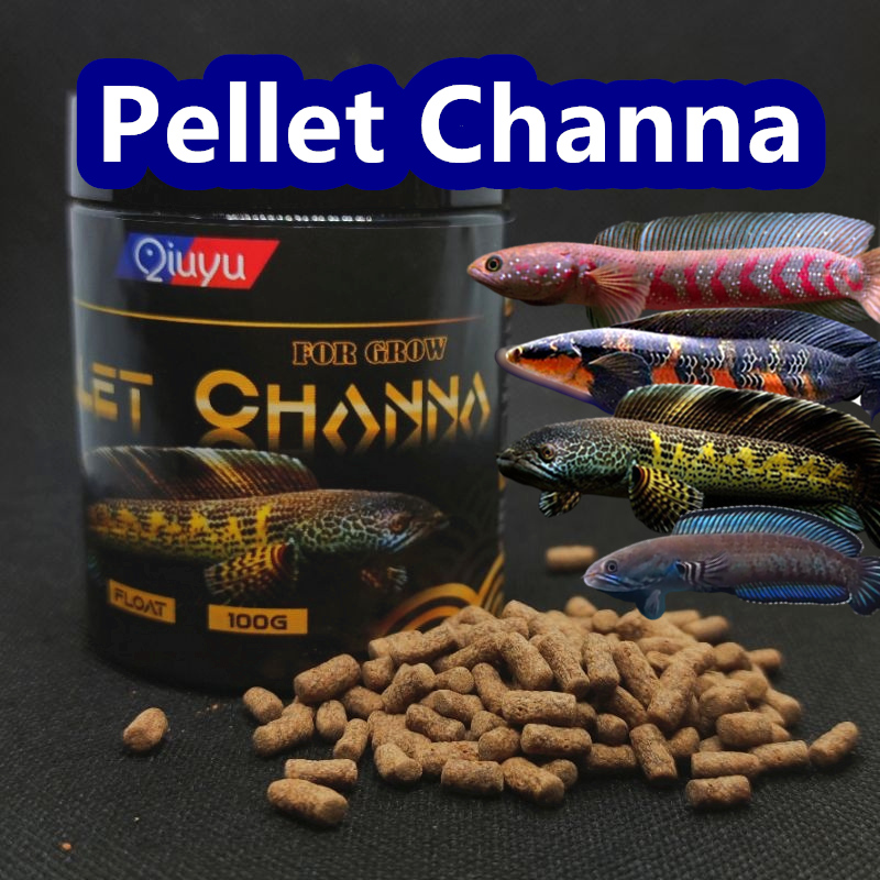 Qiuyu Channa Pellet Channa Fish food High Protein For 5-6inch+ Pallet makanan ikan chana 雷龙鱼饲料 100g