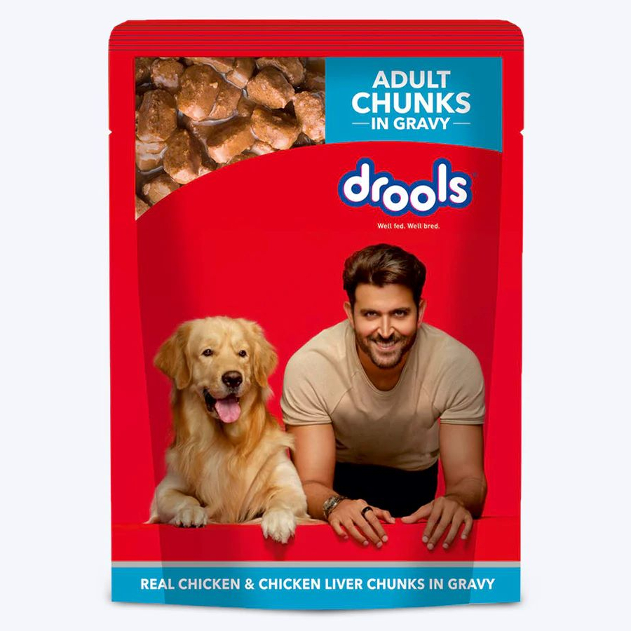 DROOLS GRAVY DOG WET FOOD FOR ADULT