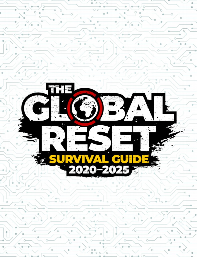 The Global Reset Survival Guide 2020-2025 (ebook)