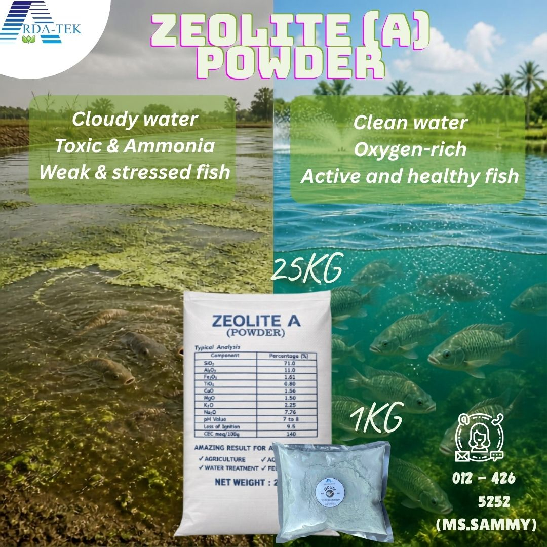 1KG - Zeolite Powder Serbuk Untuk Kolam Ikan Akuakultur Tanah Pertanian | Improve Water Quality Abso