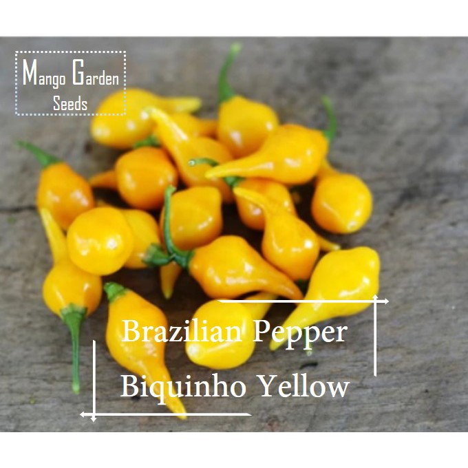 *Rare* Biquinho Yellow Brazilian Pepper Seeds - 10 Seed *Pot Friendly* Little Beak - Mango Garden Se