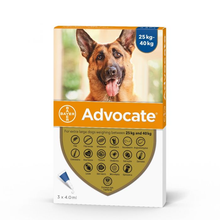 Advocate Dog Spot-on Solution 3 x 4.0ml Pipettes for treatment of fleas heartworm intestinal worms e