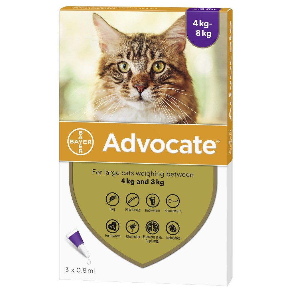 Advocate Cat Spot-On Solution for Cats > 4kg (3 pipettes, 1 box) treatment of fleas, ticks, ear mite