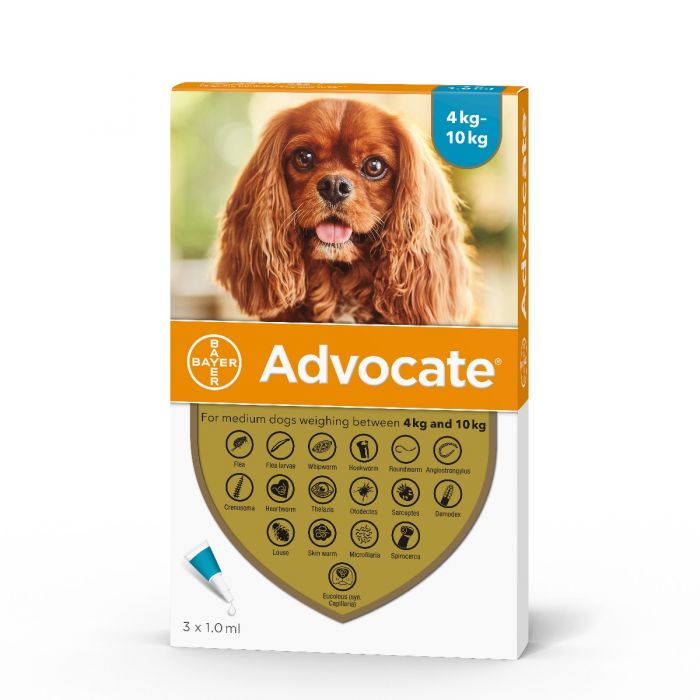 Advocate Dog, Spot-On Solution for Medium Dogs 4kg-10kg (3 x 1.0ml pipette)